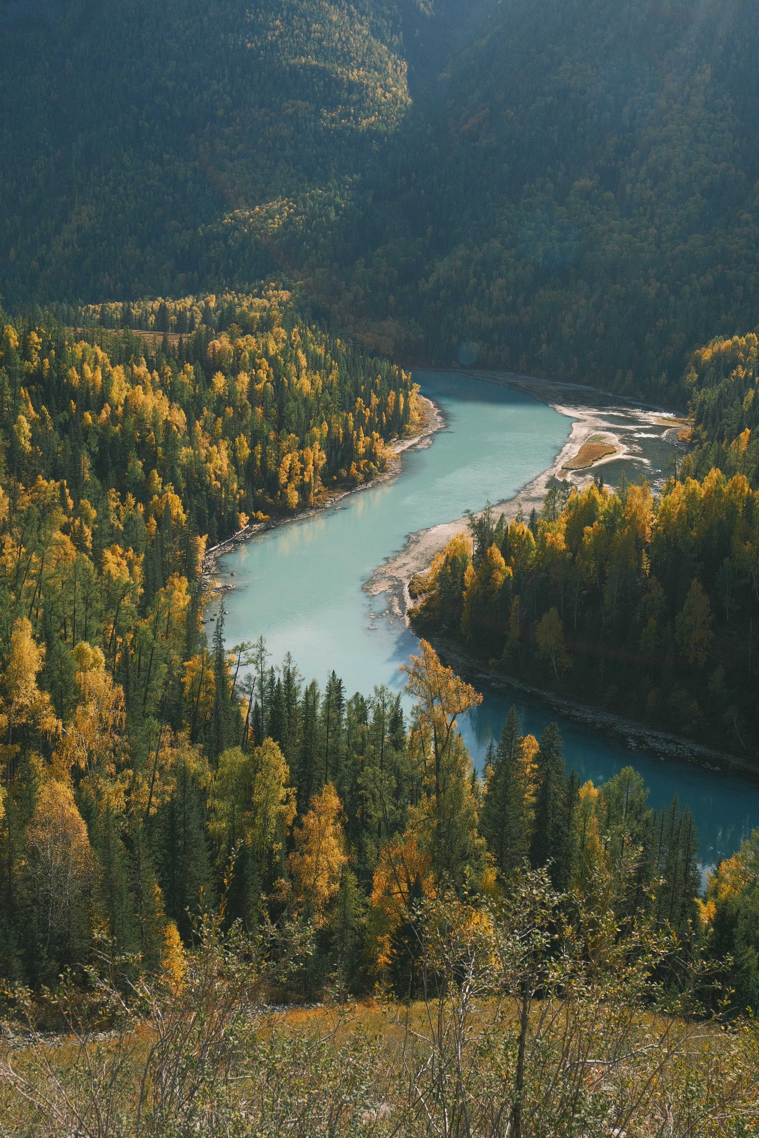 An aerial view of a turquoise river winding through an autumn forest
