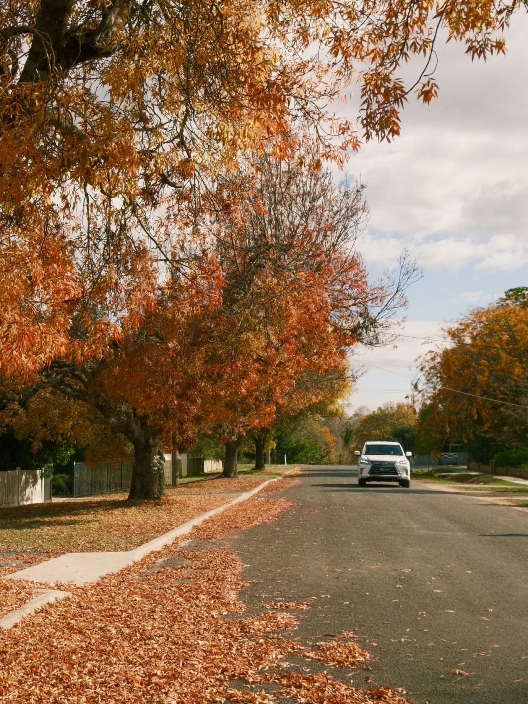 A car driving down a leaf-strewn street lined with autumn trees