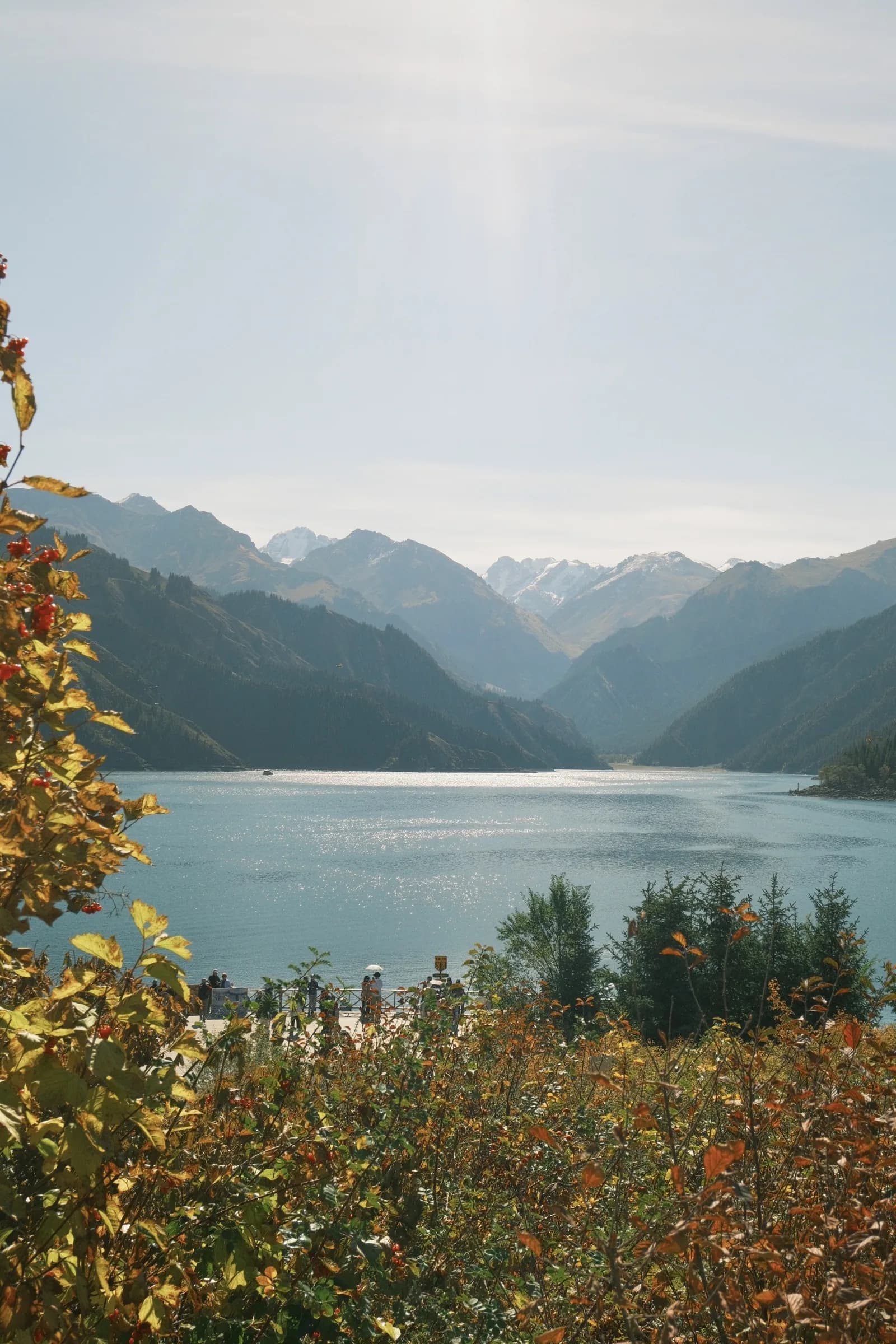 A mountain lake viewed through autumn berries and pine branches