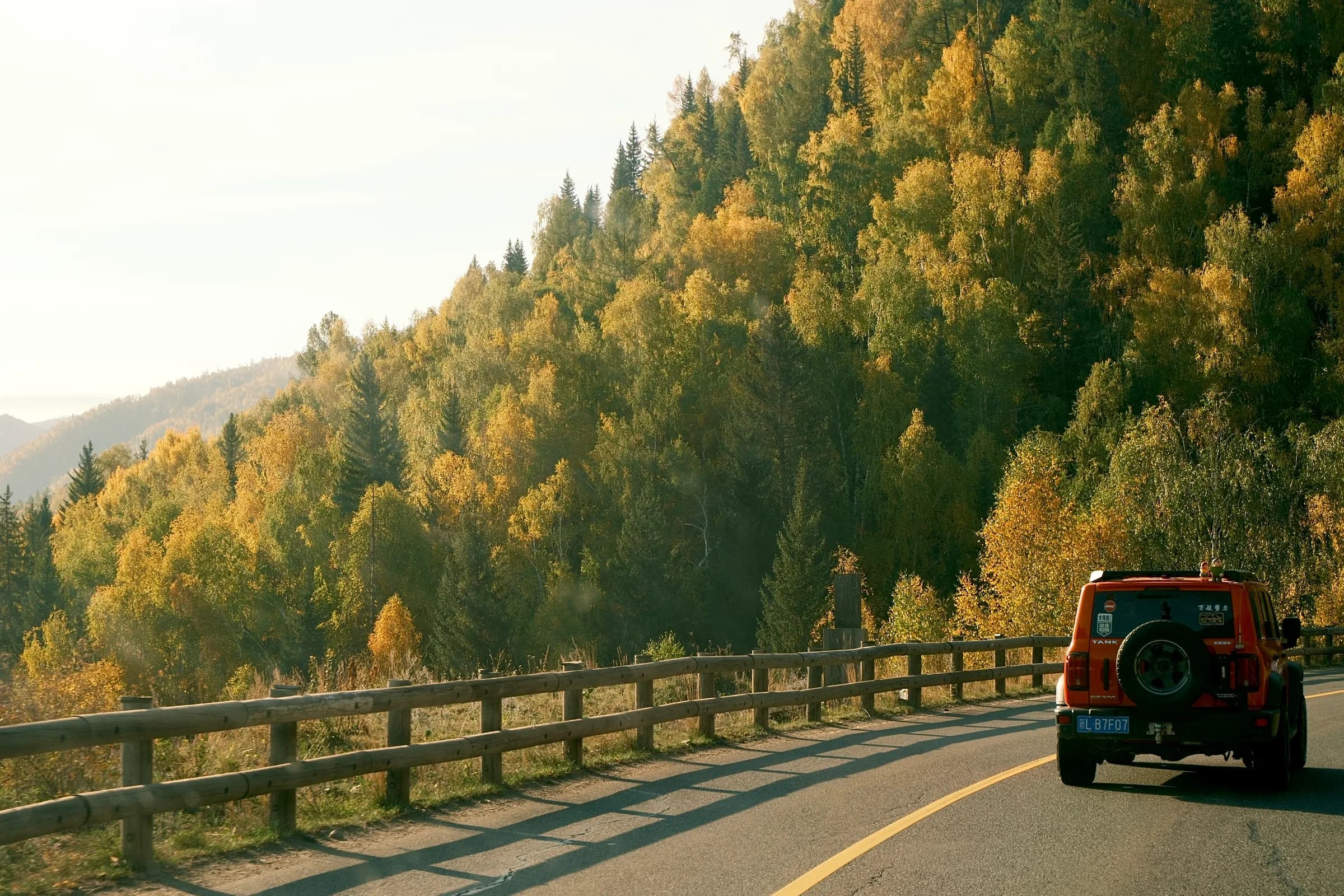 A red SUV travelling along a road beside a golden forested hillside