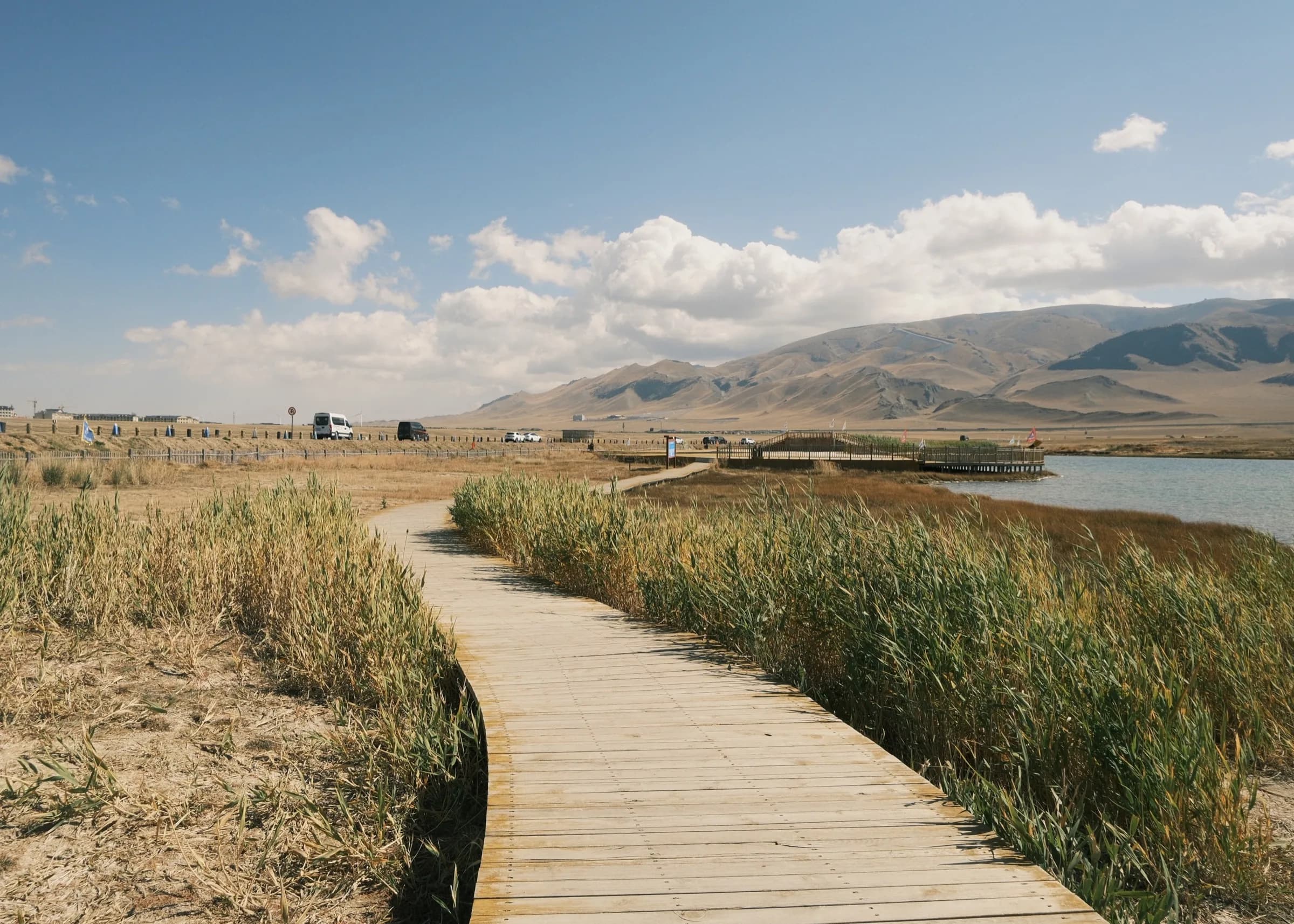 A wooden boardwalk winding through tall reeds toward distant hills