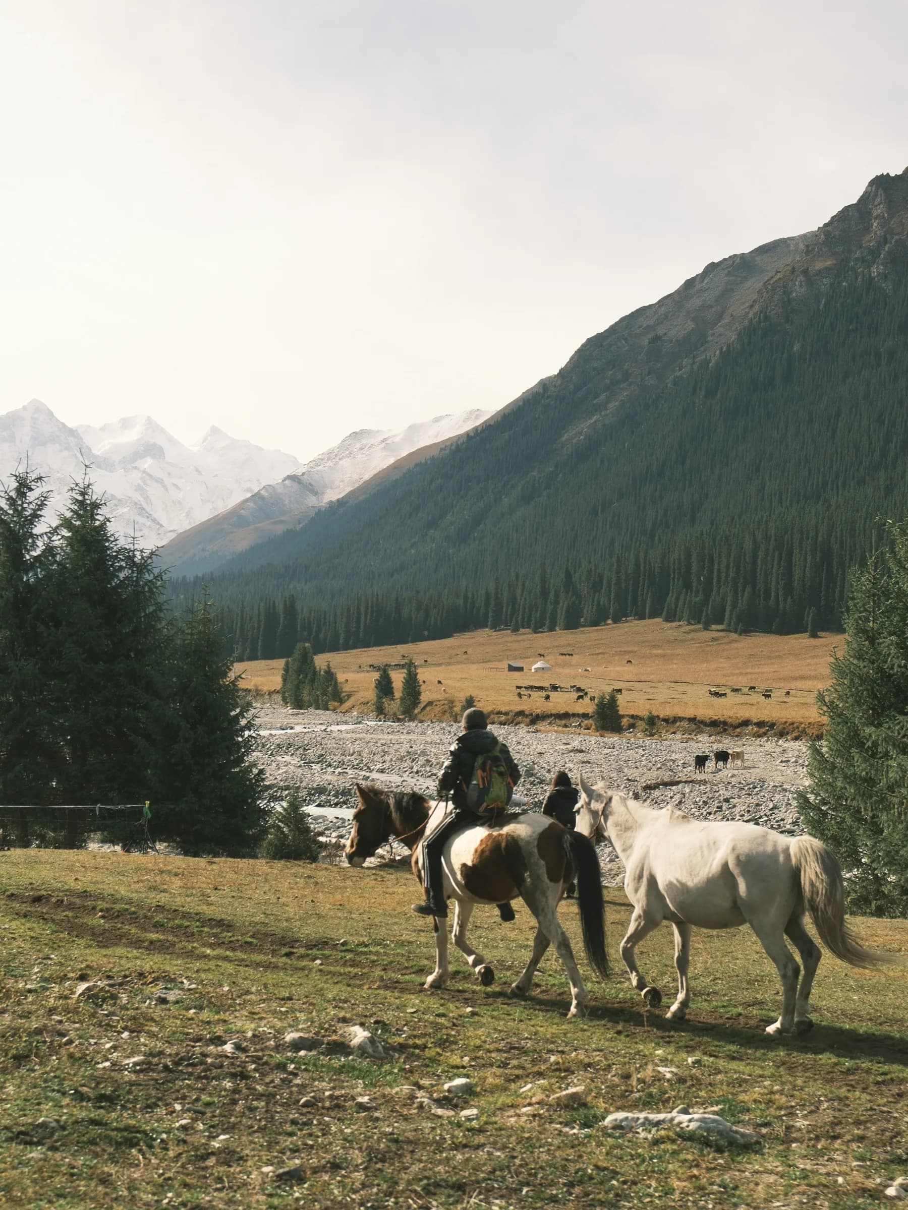 Riders leading horses down to a stony riverbed