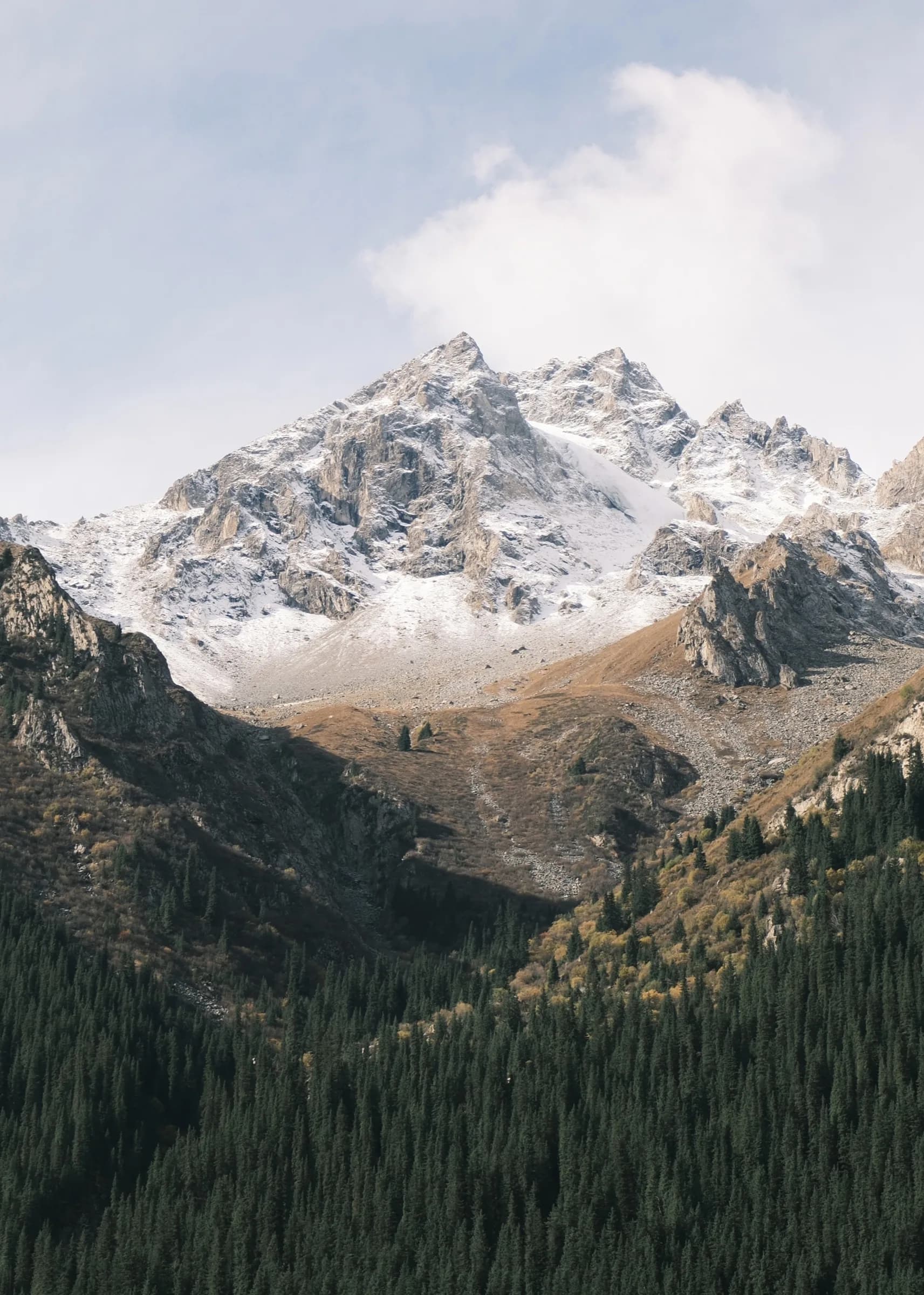 Solitary snow-capped peak rising above dark conifers