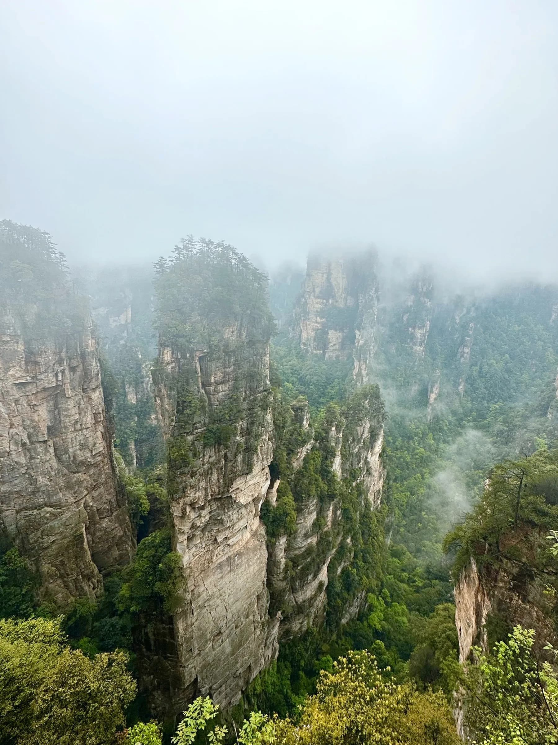 Sandstone pillars rising out of a mist-filled forested gorge