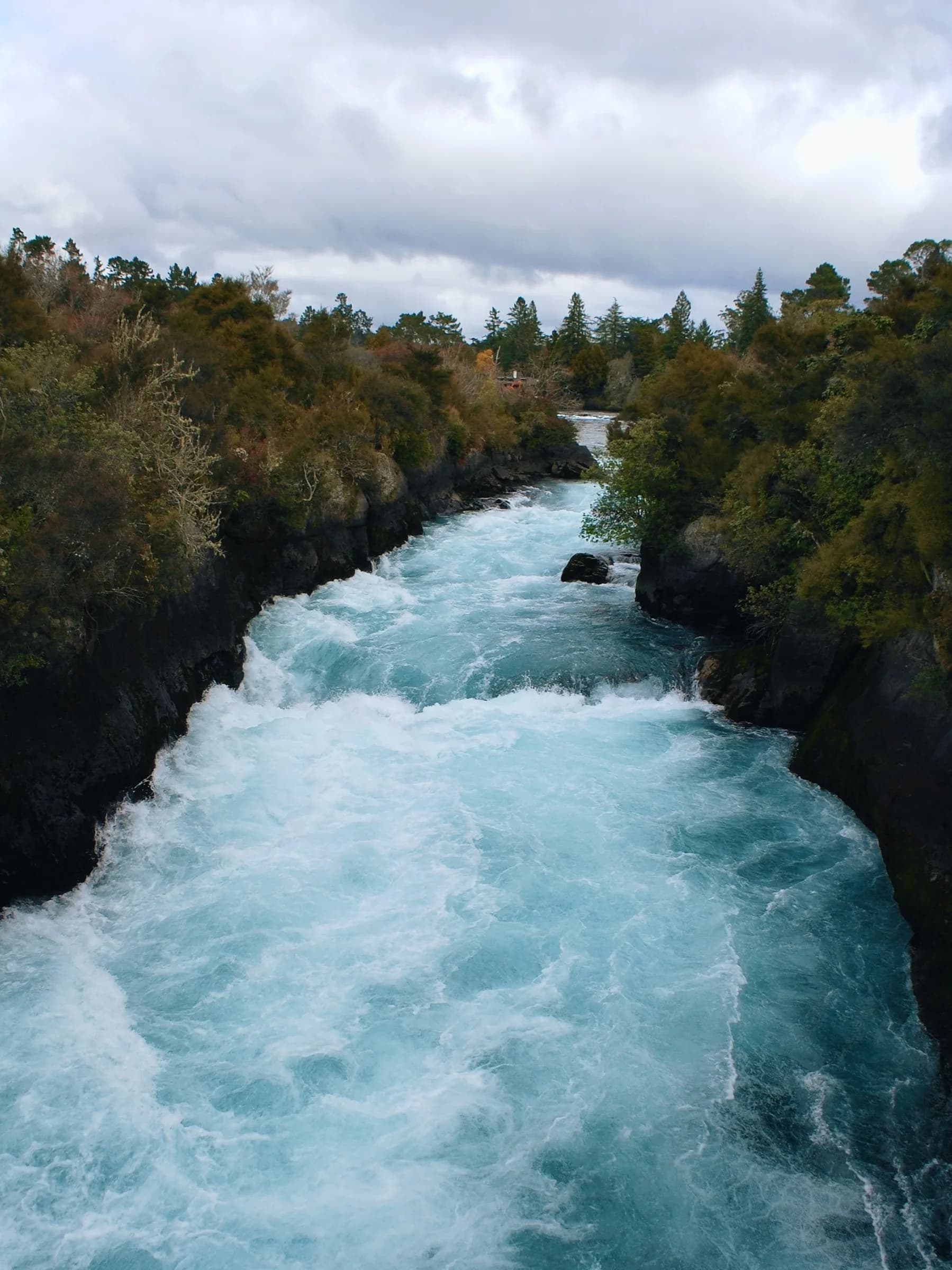 Turquoise river churning through a forested rocky gorge