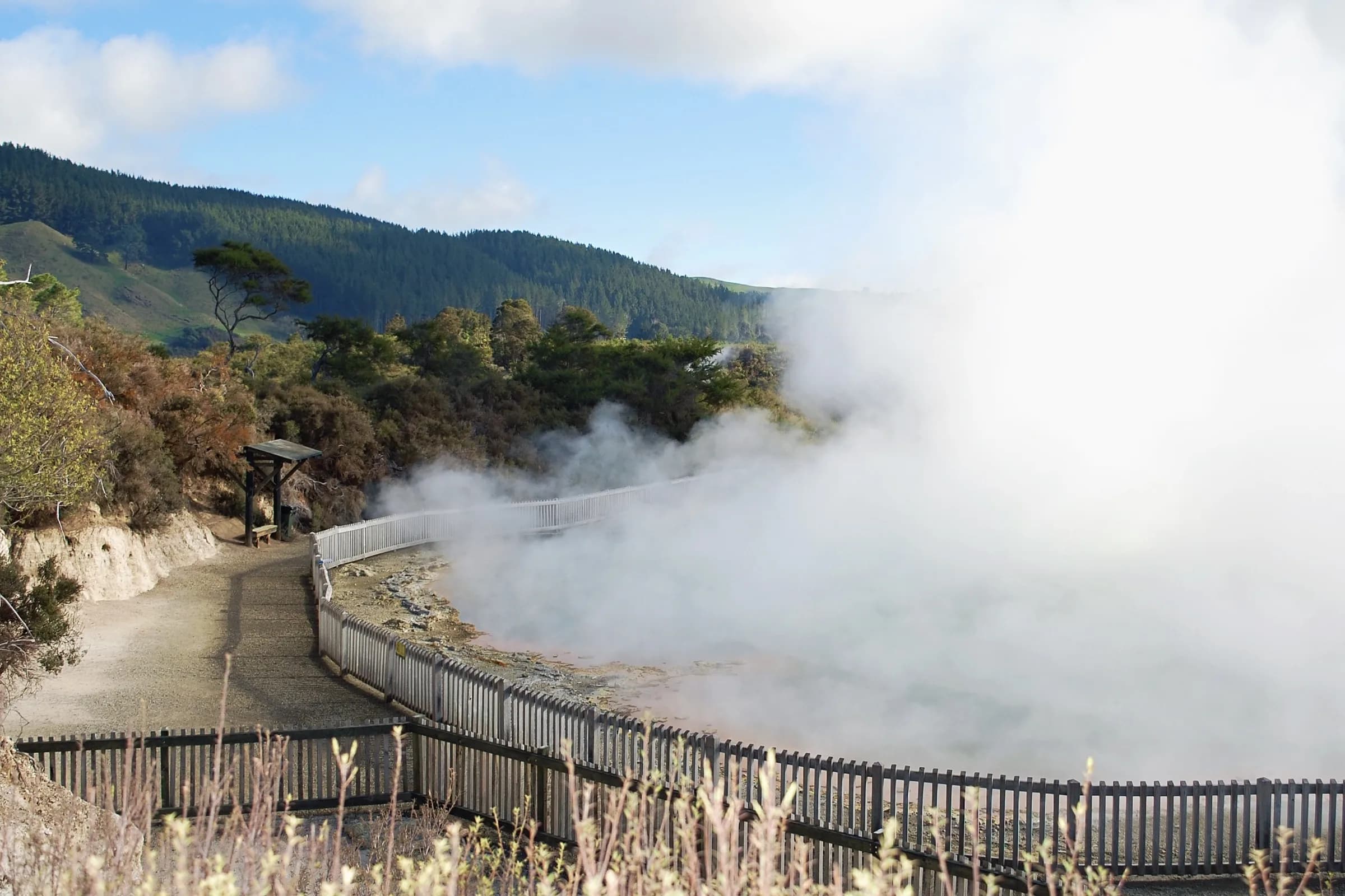 Fenced walkway curving past a steaming pool beneath forested hills